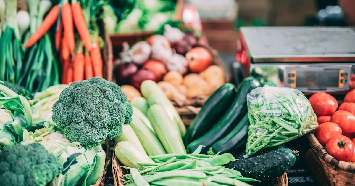 Legumes frescos variados organizados, prontos para armazenamento